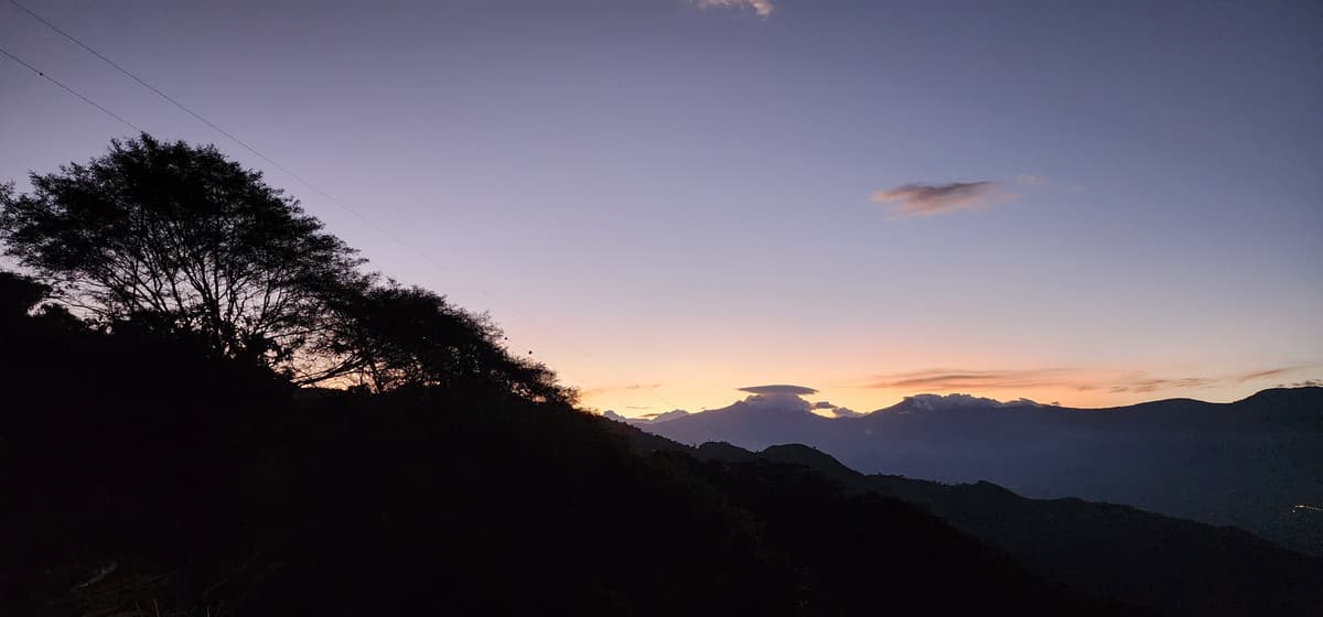Atardecer en plantación