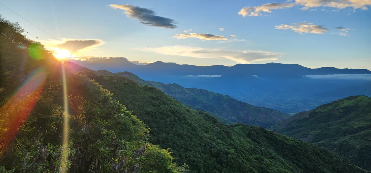 Paisaje cafetero ecuatoriano