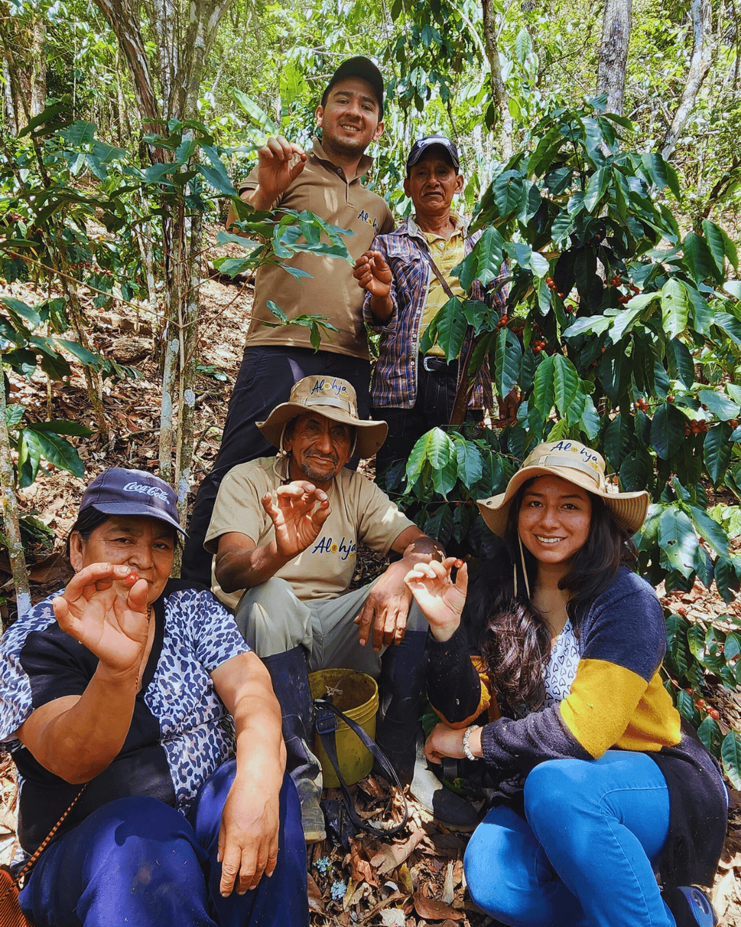 Quienes Somos - Alohja Coffee